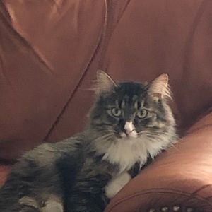 Meet your Posher, Terri